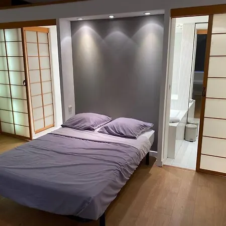 Coquet Duplex Dans L'hyper-centre *