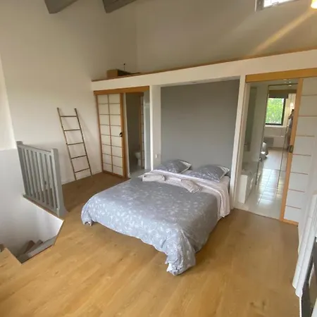 Daire Coquet Duplex Dans L'hyper-centre Béziers